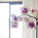 ホテル Blue View Seaside