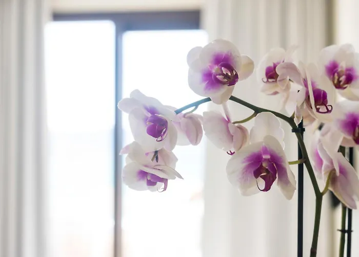 Otel Blue View Seaside